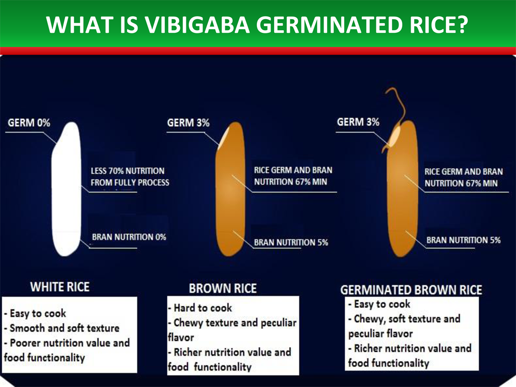 vibagabi - vinaned