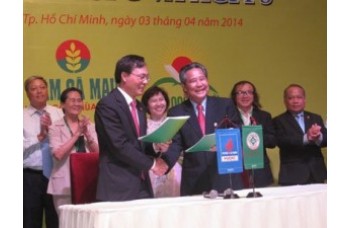 PVCFC, AGPPS JOIN FORCES TO FORM RICE VALUE CHAIN