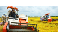 Applying remote sensing technology to agricultural geography